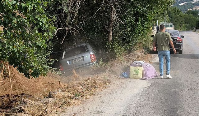 Kütahya'da otomobil ağaçlık alana çarptı, sürücü yaralı