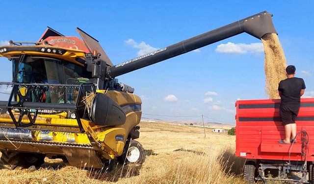 Kütahya'da yerli ve milli arpa çeşitlerinde yüksek verim
