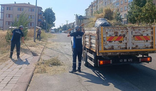 Kütahya’da Yunus Emre Mahallesi’nde ot biçimi ve temizlik çalışmaları