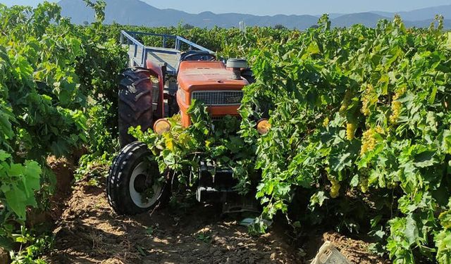 Manisa’da traktörün çarptığı kadın hayatını kaybetti