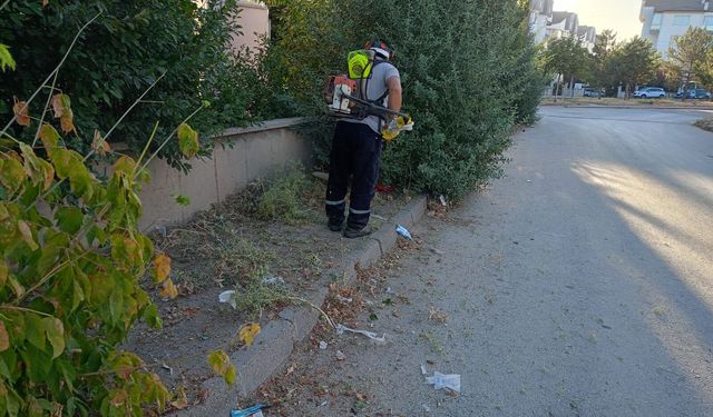 Kütahya Dumlupınar Mahallesi’nde temizlik çalışması başladı