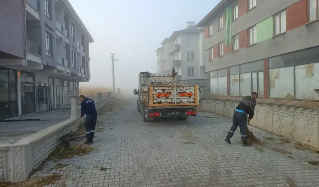 Kütahya’da üniversitede otlar temizlendi