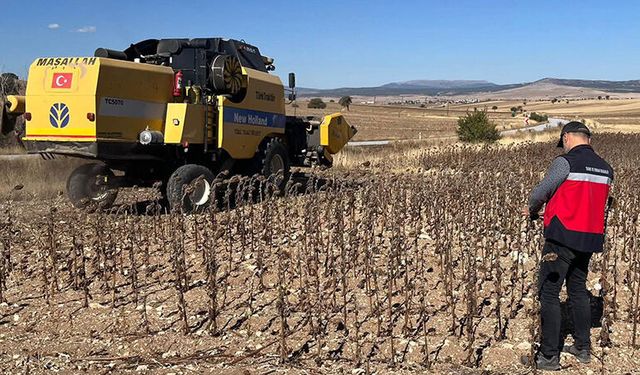 Kütahya’da ayçiçeği tarlalarında hasat kontrolü