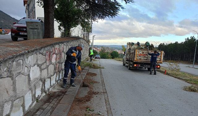 Kütahya’da ot biçme çalışmaları sürüyor