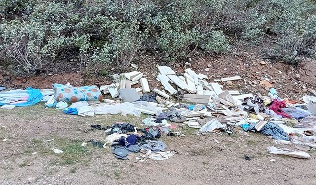 Kütahya’da piknik alanına insan eli değdi, sonuç bu