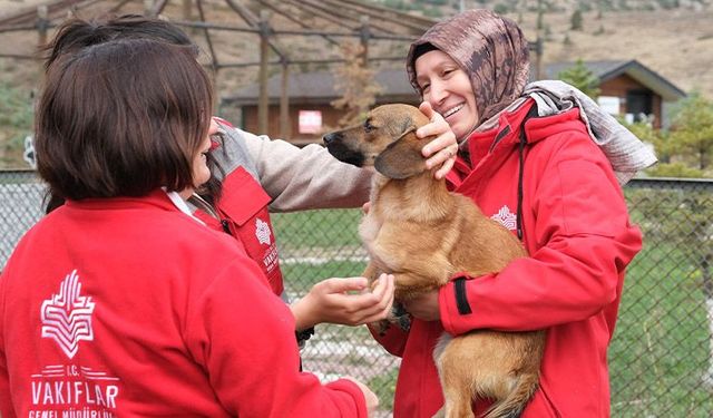 Kütahya’da sahipsiz hayvanlara mama desteği