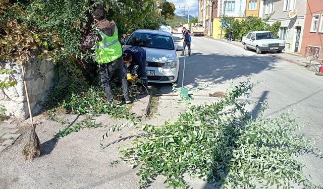 Kütahya’da “Sonbahar” temizliği sürüyor