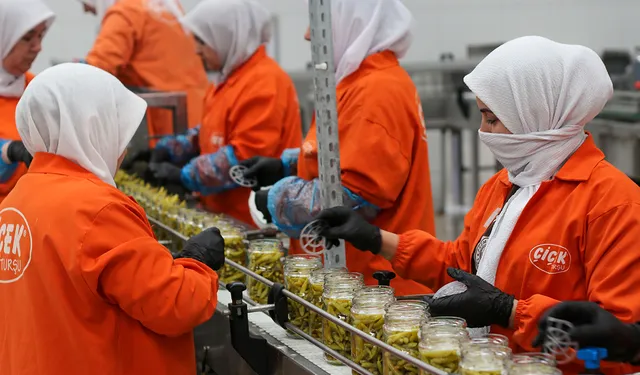 Türkiye'nin turşu ihracatı 301 milyon doları aştı