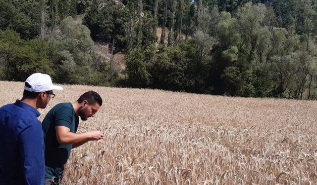 Kütahya ilçelerinde kontroller devam ediyor