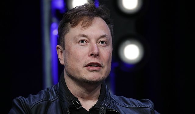 Elon Musk, Vine hakkında anket yaptı