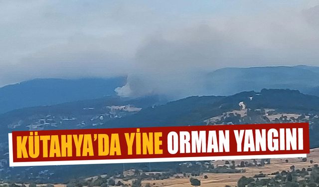 Kütahya’da yine orman yangını