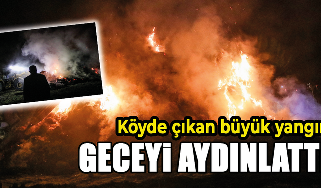 Kütahya'da köyde çıkan yangın güçlükle söndürüldü