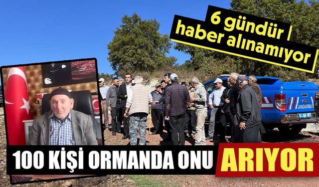 Kütahya'da yüz kişi ormanda kayıp yaşlı adamı arıyor