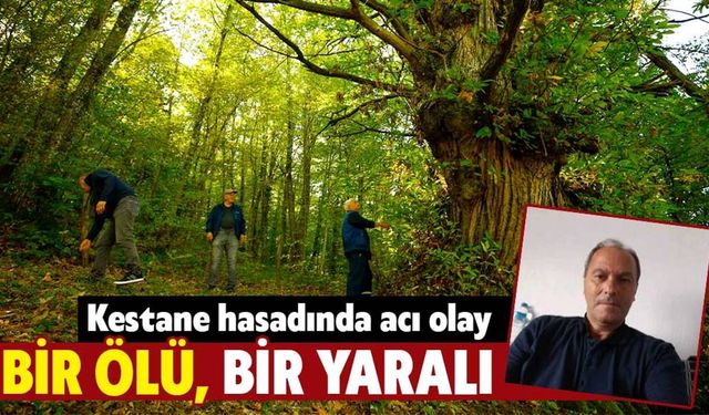 Kütahya'da kestane hasadı ölüm ve yaralanma ile başladı