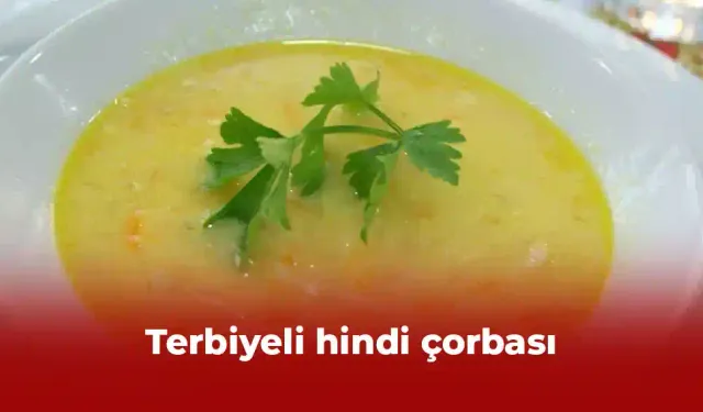 Terbiyeli hindi çorbası