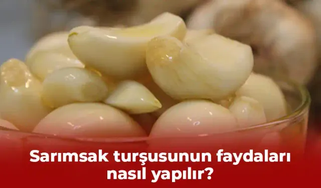 Sarımsak turşusunun faydaları ve nasıl yapılır?