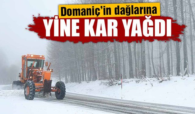 Domaniç-İnegöl kara yolunda kar ve sis etkili oldu