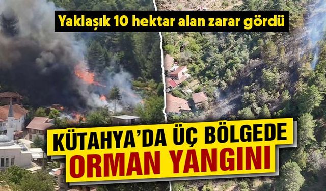 Kütahya'daki orman yangınları kontrol altında