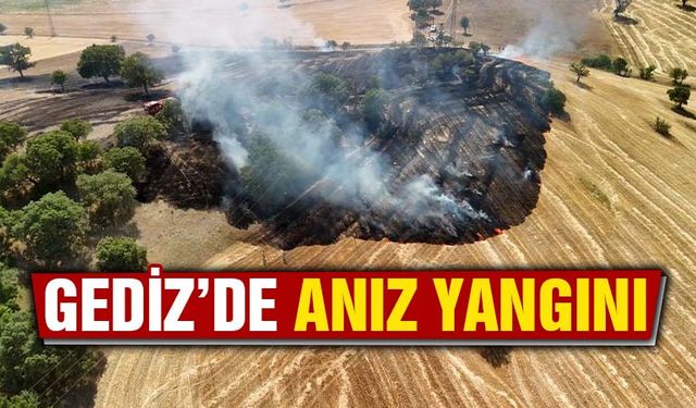 Kütahya'da ağaçlık alana sıçrayan anız yangını söndürüldü