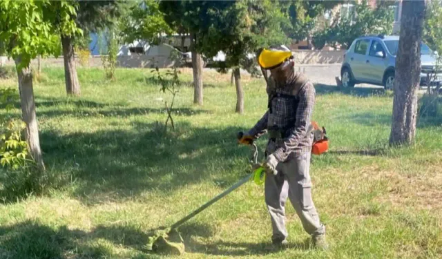 Kütahya Gediz Belediyesi’nden "Daha Yeşil Bir Gediz" Projesi