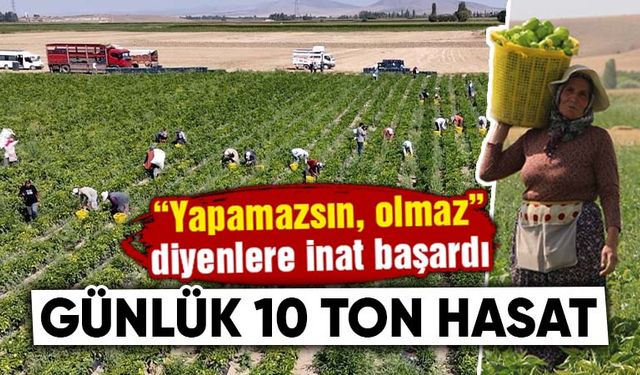 Kütahya’da alternatif ürün olarak ektiler, 10 ton verim aldılar