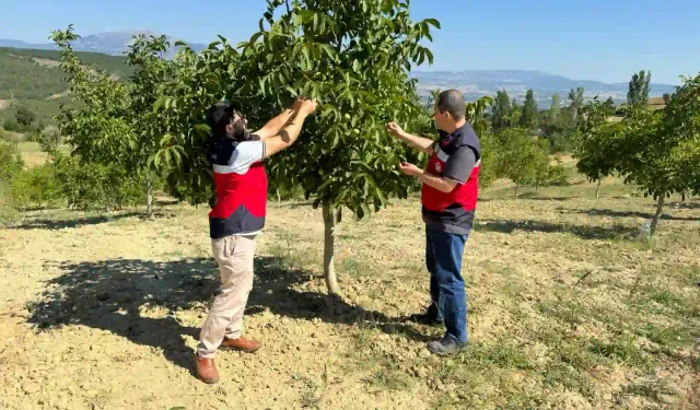 Kütahya'da ilçelerde bahçe denetimleri yapıldı 