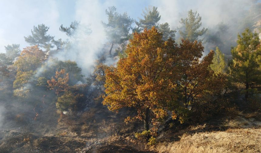 Kütahya Simav ve Hisarcık’ta orman yangını