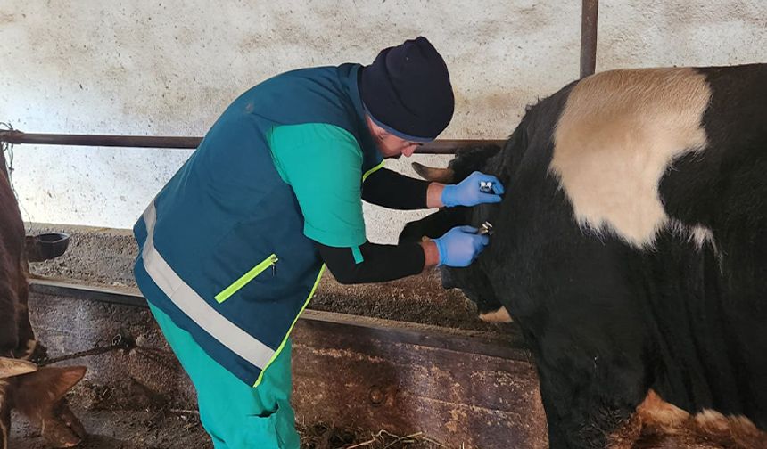 Kütahya Tavşanlı’da tüberküloz hastalığına karşı tarama yapıldı