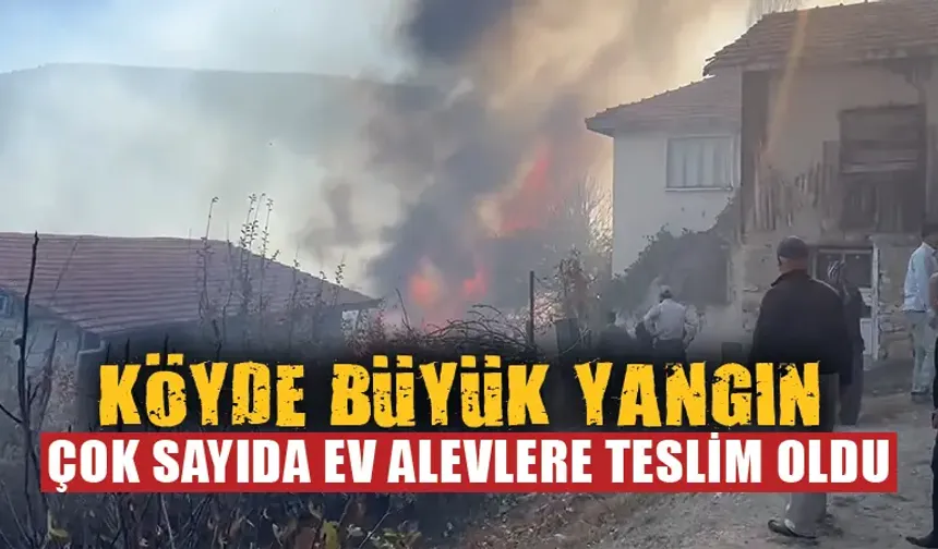 Kütahya'da çöplükte çıkan yangın köydeki evlere sıçradı