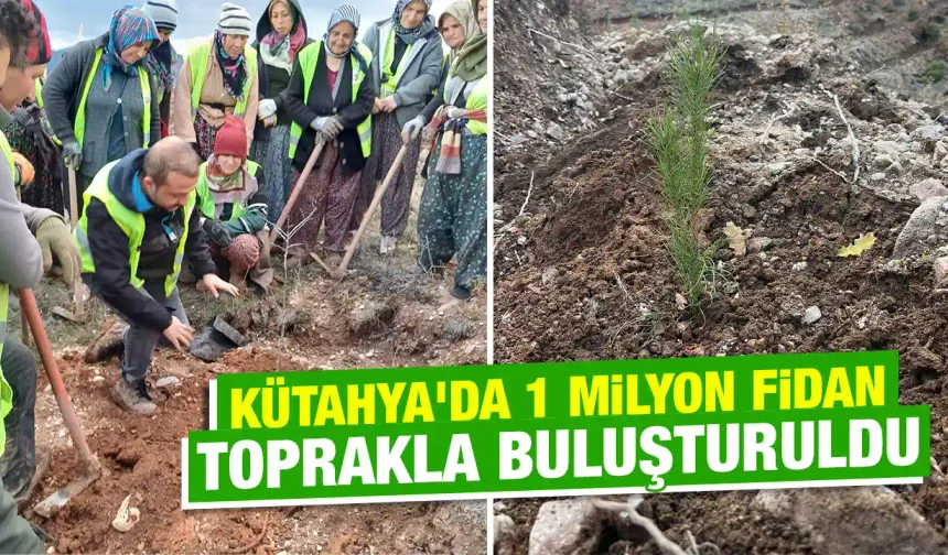 Kütahya’da geleceğe nefes için 1 milyon fidan dikildi