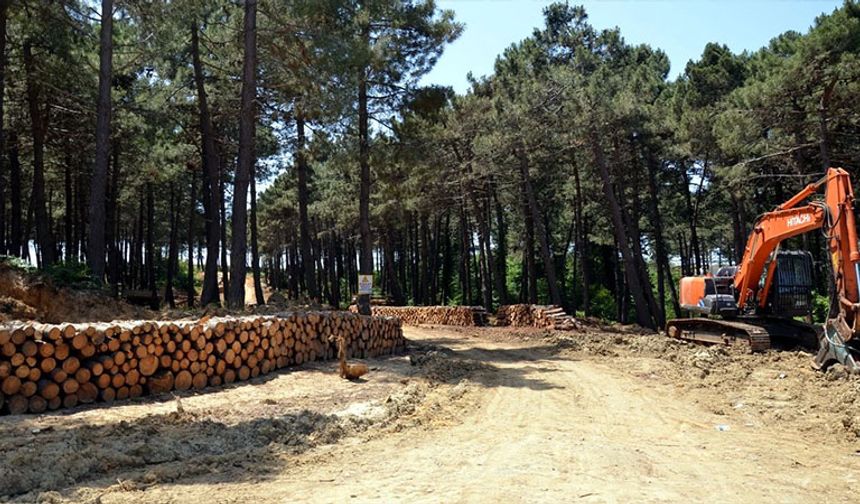 Gediz Orman İşletme Müdürlüğü, tasnif ve depolama hizmeti alımı için ihaleye çıkıyor