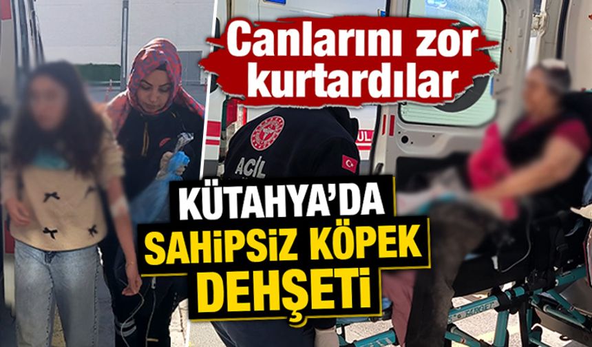 Kütahya'da sahipsiz köpekler anne ve kızına saldırdı