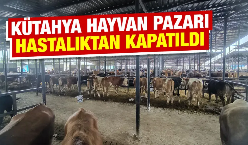 Kütahya’da hayvan pazarları kapatıldı