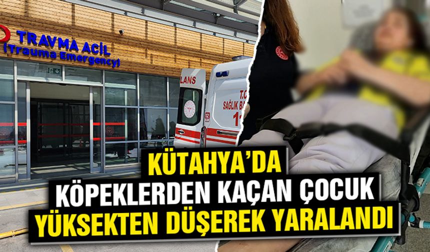 Kütahya’da köpeklerin kovaladığı çocuk yaralandı