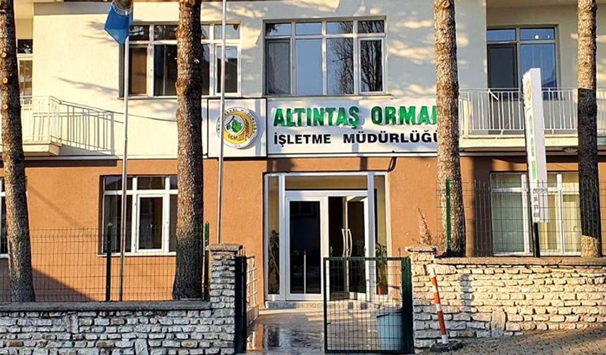 Altıntaş Orman İşletme Müdürlüğü danışmanlık hizmet alımı ihalesi
