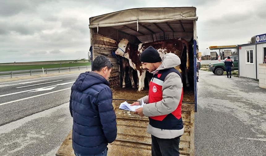 Kütahya Çavdarhisar’da hayvan nakil kontrolleri aralıksız sürüyor