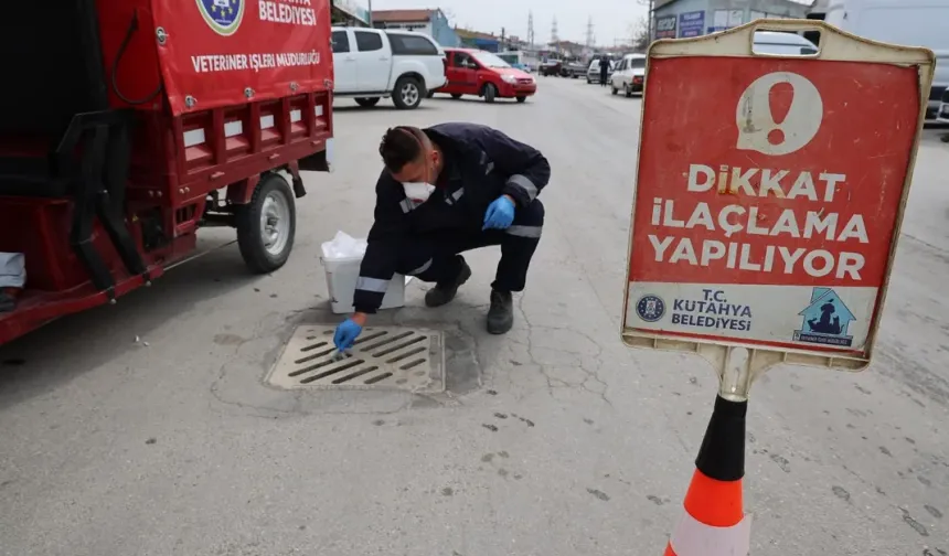 Kütahya’da ilaçlama faaliyetleri sürüyor