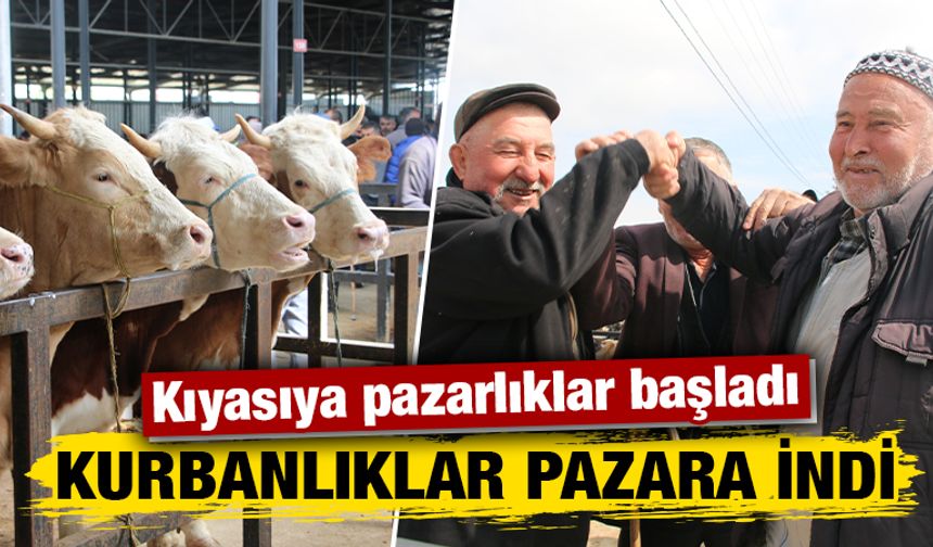 Kütahya’da kurbanlıklar pazara indi
