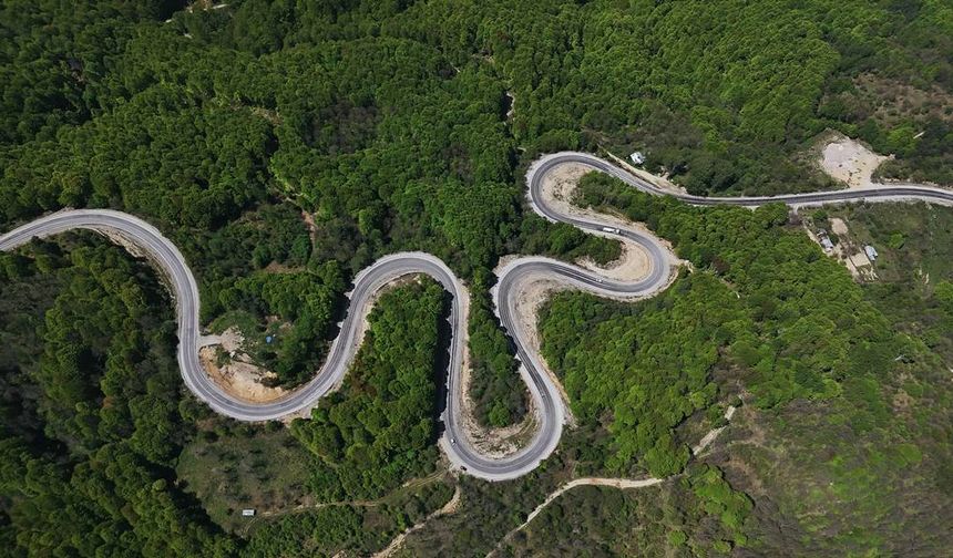 Domaniç Dağları'nda kıvrımlı yollar yeşilin tonlarıyla buluştu
