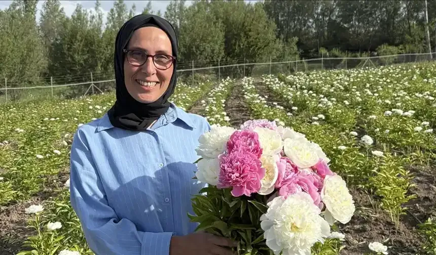 Kadın girişimcinin Şakayık serüveni meyvesini veriyor