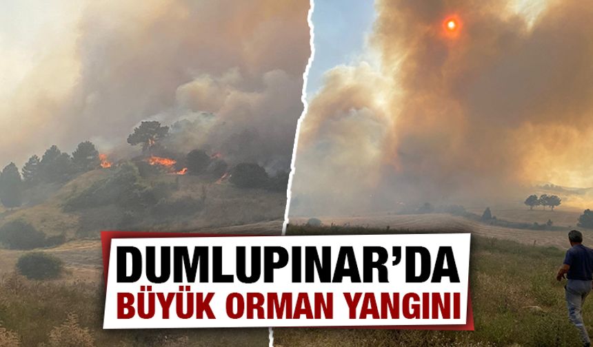 Kütahya Dumlupınar'da ormanlık alanda yangın