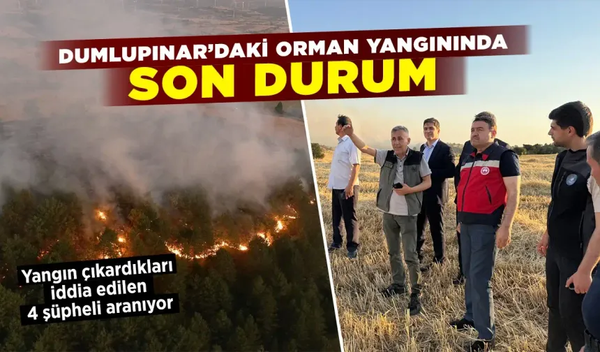 Kütahya Dumlupınar'daki orman yangınında son durum
