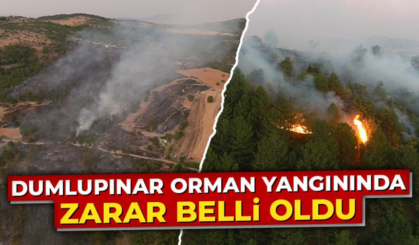 Kütahya Dumlupınar’daki yangında zarar belli oldu
