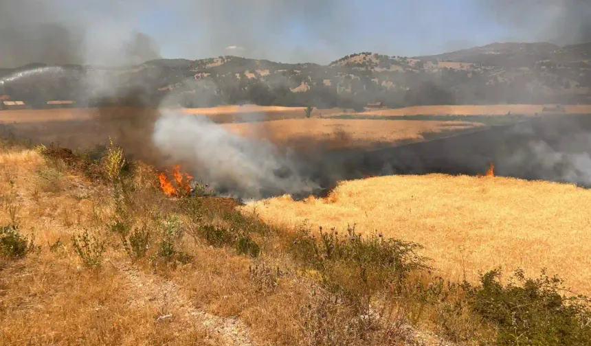 Kütahya'da biçerdöverin neden olduğu yangın söndürüldü