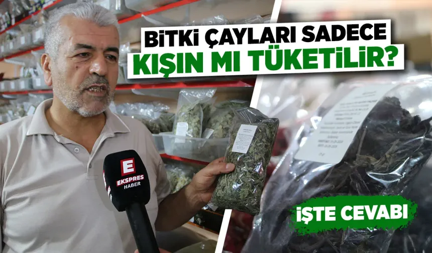 Kütahya'da uzmanından bitki çayı tavsiyeleri
