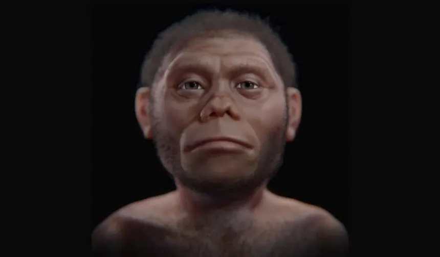 Endonezya’da gizemli hominin izleri: Hobbit’lerin komşuları kimdi?