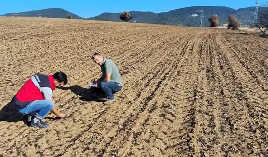 Kütahya Dumlupınar’da meydana gelen yangının hasar tespiti yapıldı