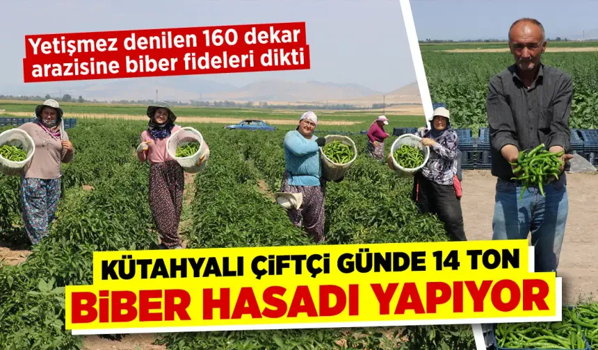 Kütahyalı çiftçi, yetişmez denilen arazide günde 14 ton biber üretiyor