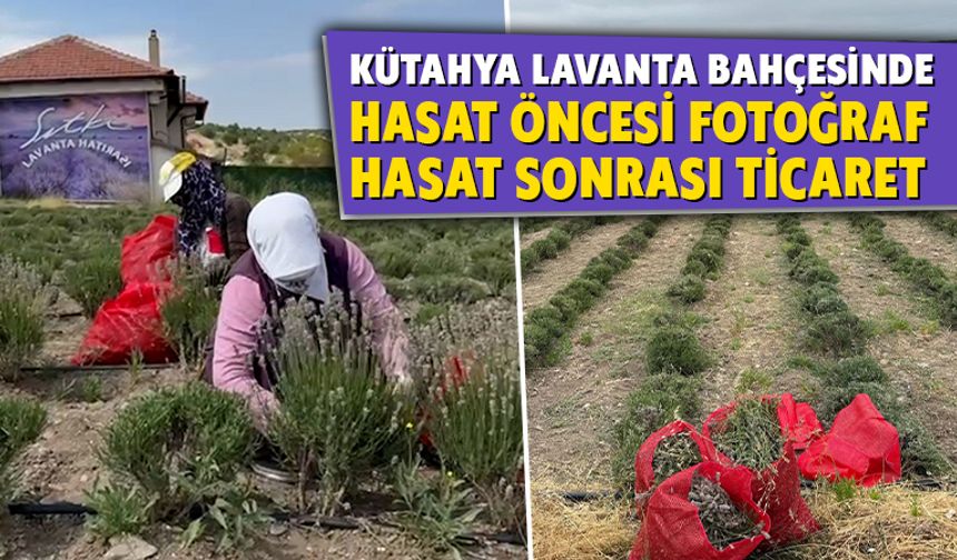 Kütahya’nın lavanta ürünleri yurt dışına ihraç ediliyor