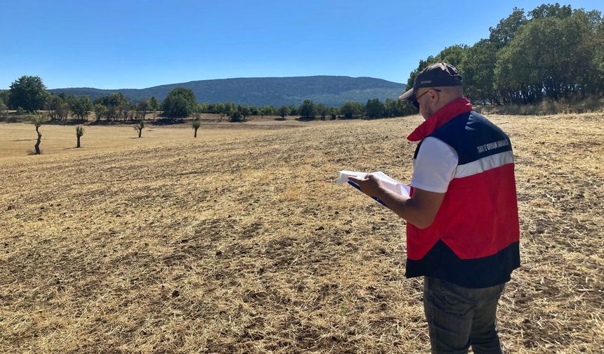 Kütahya Tavşanlı’da ürün beyan doğrulama çalışmaları sürüyor